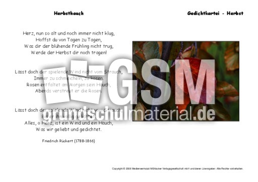 Herbsthauch-Rückert.pdf